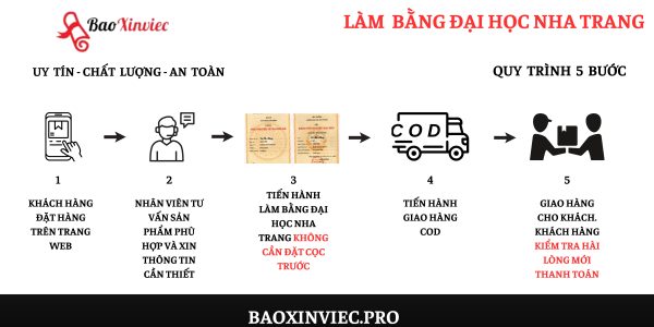 Làm Bằng Đại Học Tại Nha Trang Như Thế Nào?