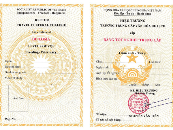 Làm bằng trung cấp thú Y chuẩn Bộ Lao Động Thương Binh Xã Hội
