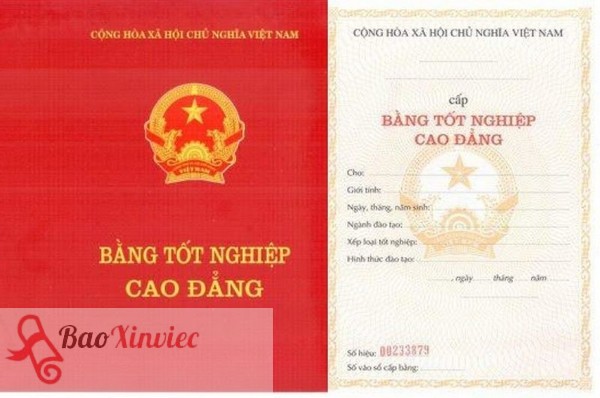 Lựa Chọn Bao Xin Việc Để Làm Bằng Cao Đẳng Tại Bình Dương
