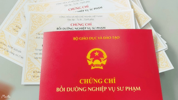 Chứng Chỉ Nghiệp Vụ Sư Phạm Và Những Điều Cần Biết