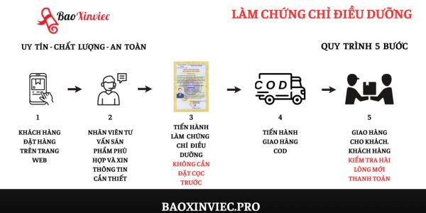 Làm Chứng Chỉ Hành Nghề Điều Dưỡng Có Thể Dùng Để Đi Làm Ngay