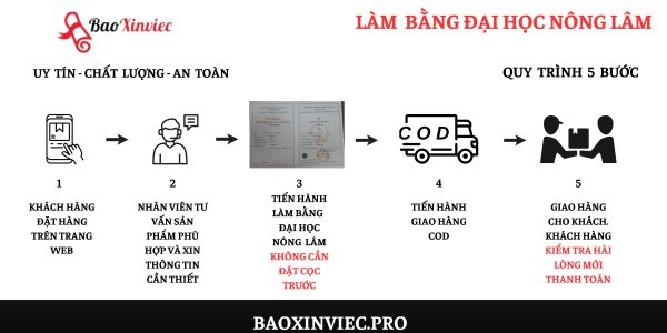Làm Bằng Đại Học Nông Lâm Có Việc Làm Ngay