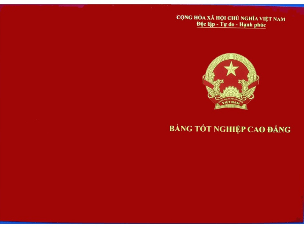 Dịch Vụ Làm Bằng Cao Đẳng Bách Khoa Nam Sài Gòn Như Thế Nào?