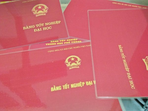 làm bằng đại học giả có công chứng được không