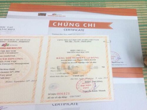 Làm Bằng Cao Đẳng Kinh Tế TPHCM Cơ Hội Nghề Nghiệp Trong Tầm Tay