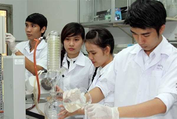 Dịch vụ làm bằng cao đẳng Dược chuẩn mẫu 100%