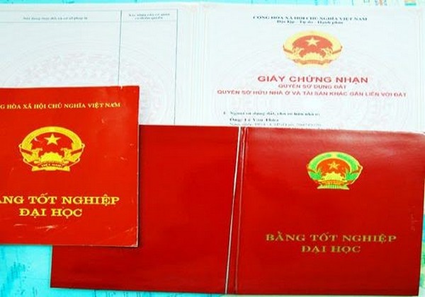 Cách xin cấp lại khi bị mất bằng đại học