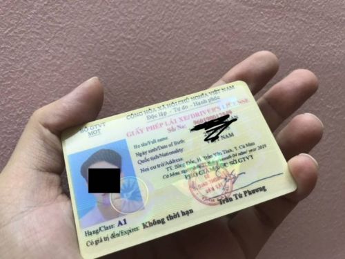 Có nên mua bằng lái xe ? Sử dụng bằng giả có sao không ?
