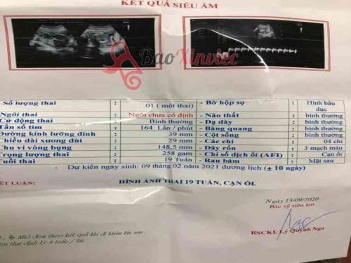Làm Giấy Khám Thai Giả Không Cần Đến Bệnh Viện