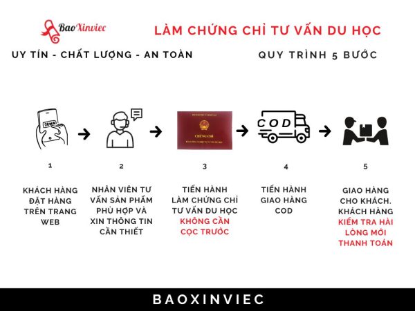 Quy trình cấp chứng chỉ tư vấn du học tại Bao Xin Việc