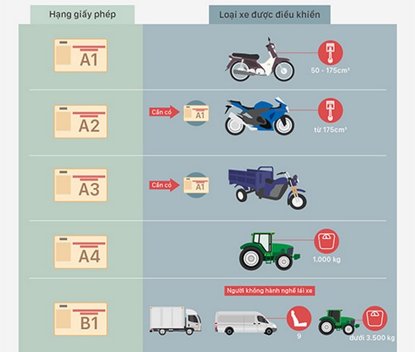 Tại Việt Nam Có Mấy Loại Bằng Lái Xe