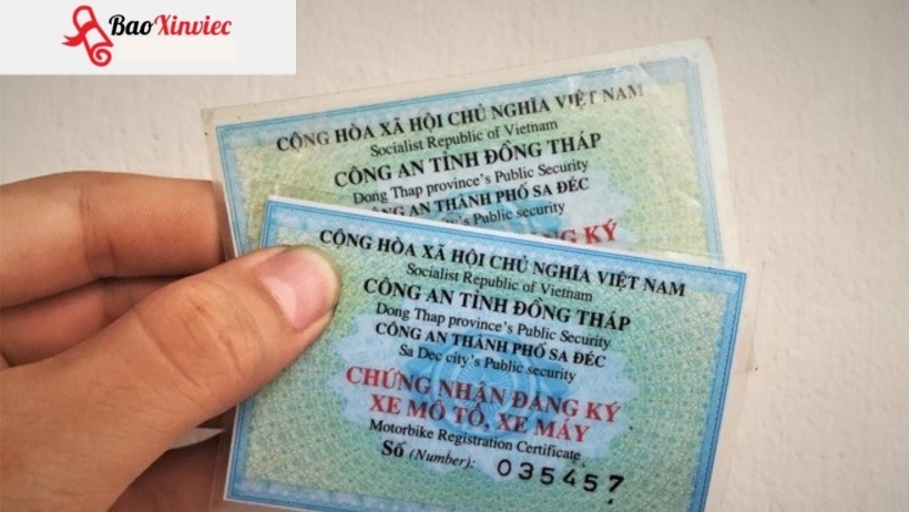 Mẫu cavet xe đang được làm tại Làm Bằng Nhanh