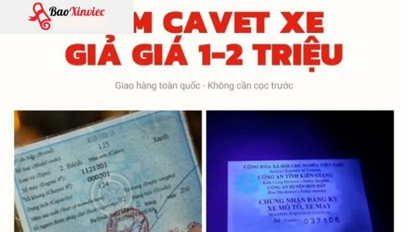 Những thông tin cần cung cấp khi làm cavet xe tại Làm Bằng Nhanh