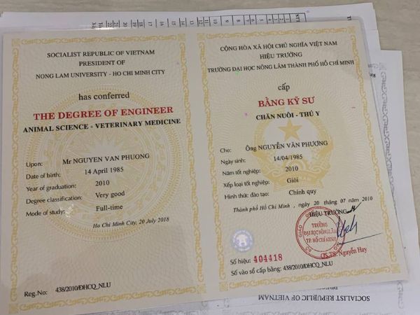 Bằng Tốt Nghiệp Đại Học Loại Giỏi Và Cách Đạt Được Bằng Giỏi