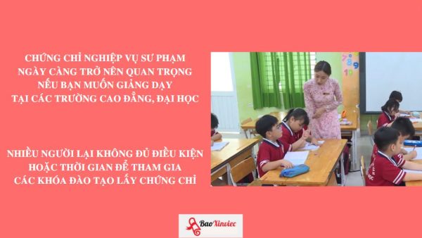 Làm Chứng Chỉ Bồi Dưỡng Nghiệp Vụ Sư Phạm Toàn Quốc