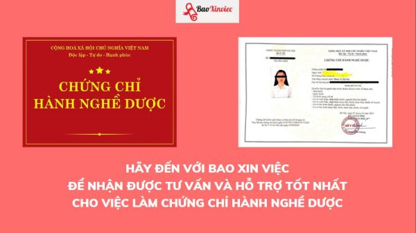 Làm chứng chỉ hành nghề Dược bao công chứng - Bao Xin Việc