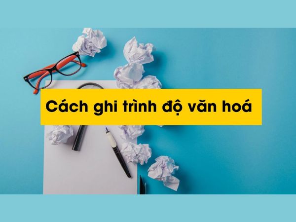 Trình Độ Học Vấn Là Gì? Hướng Dẫn Chi Tiết Cách Ghi