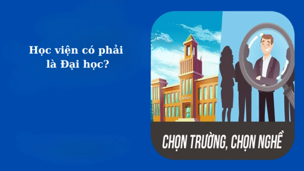 Học Viện Và Đại Học
