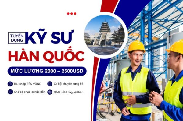 Bằng Cao Đẳng Nghề Có Đi Kỹ Sư Hàn Được Không