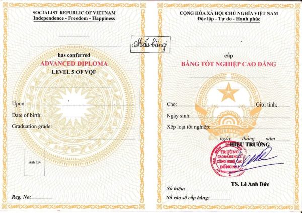 Bằng Cao Đẳng Nghề Có Đi Kỹ Sư Hàn Được Không